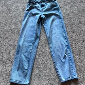 Gloria Vanderbilt Light Blue Denim Jeans with Purple Label